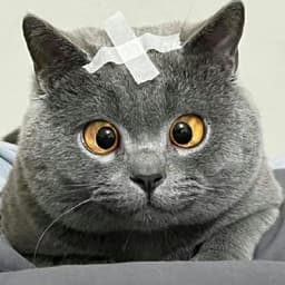 tianzx